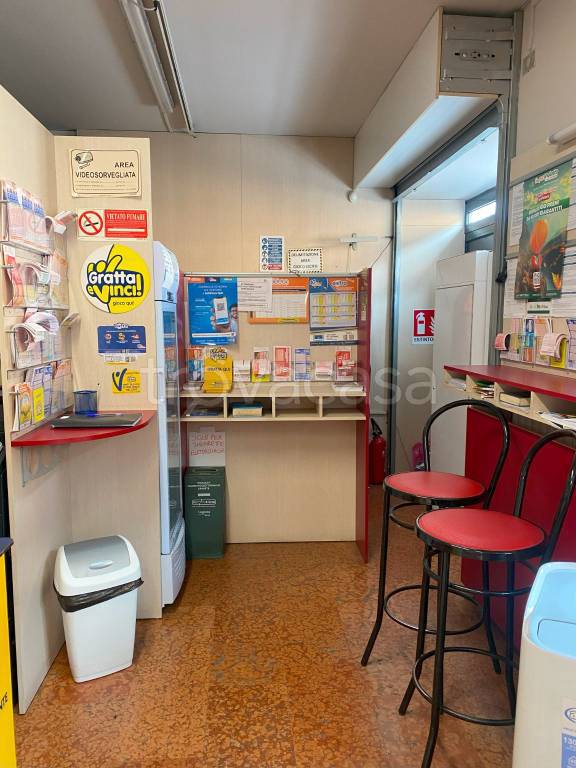 immagine annuncio 2 di 8