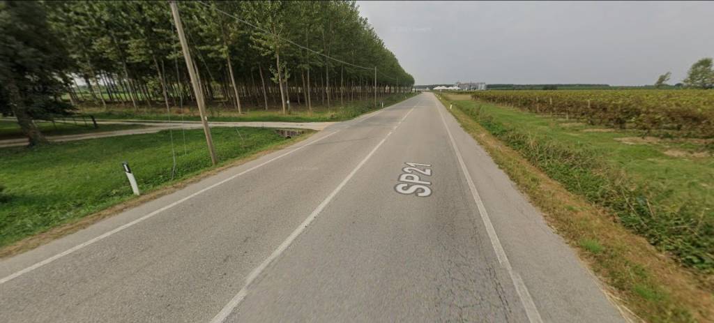 immagine annuncio 11 di 15