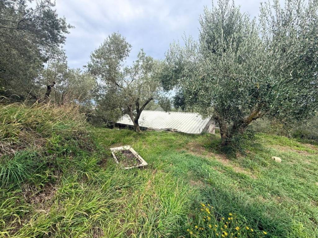 immagine annuncio 4 di 14