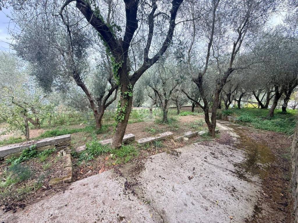 immagine annuncio 5 di 14