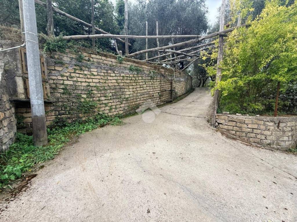 immagine annuncio 8 di 14