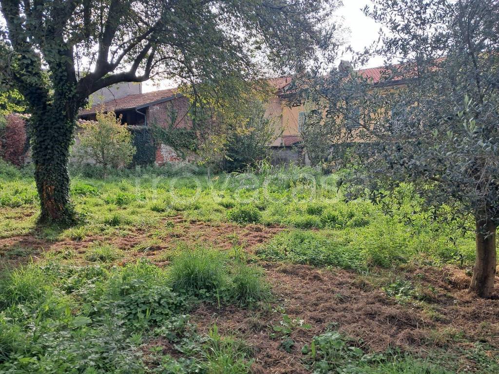 immagine annuncio 9 di 12