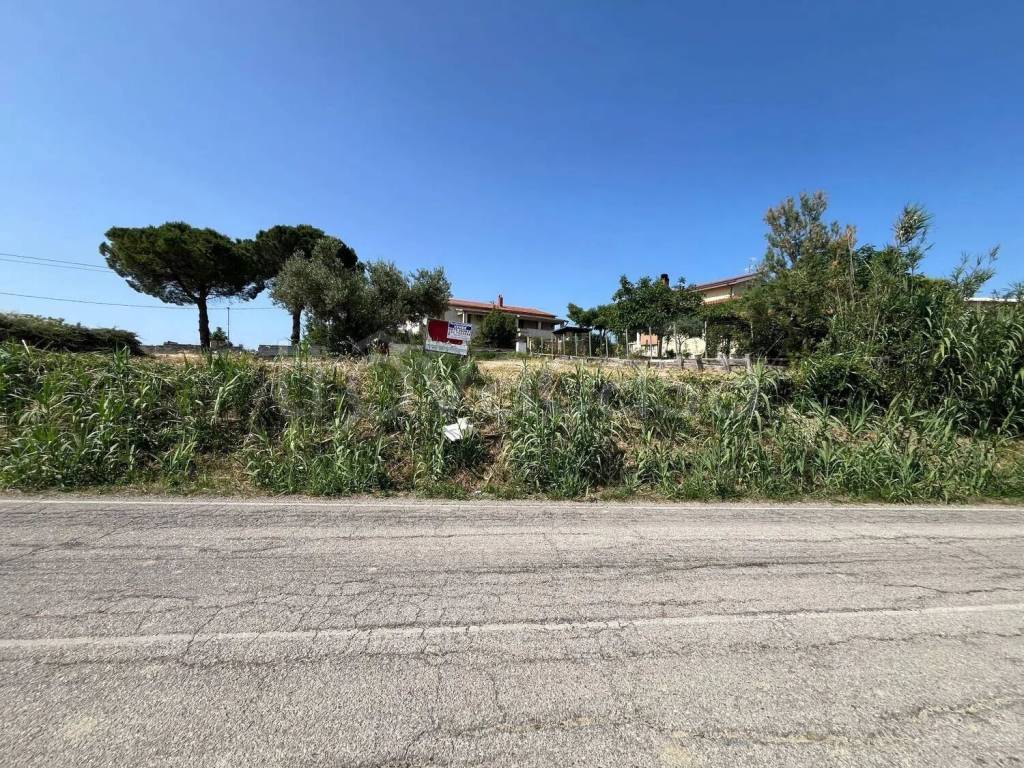 immagine annuncio 2 di 12