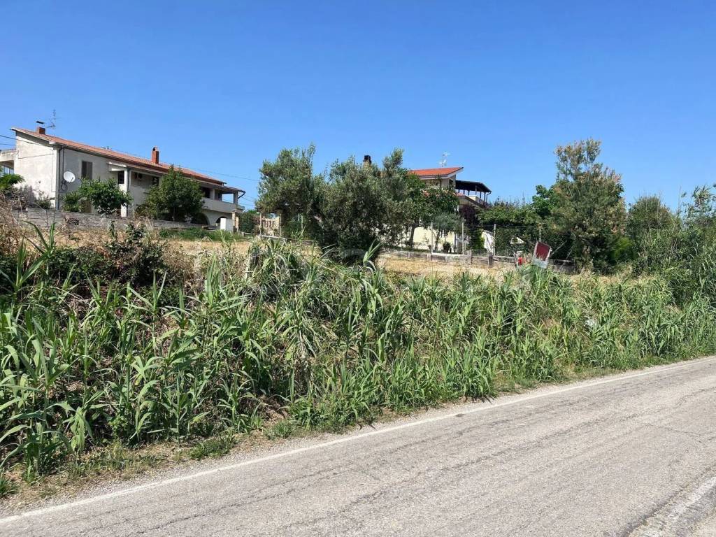 immagine annuncio 3 di 12