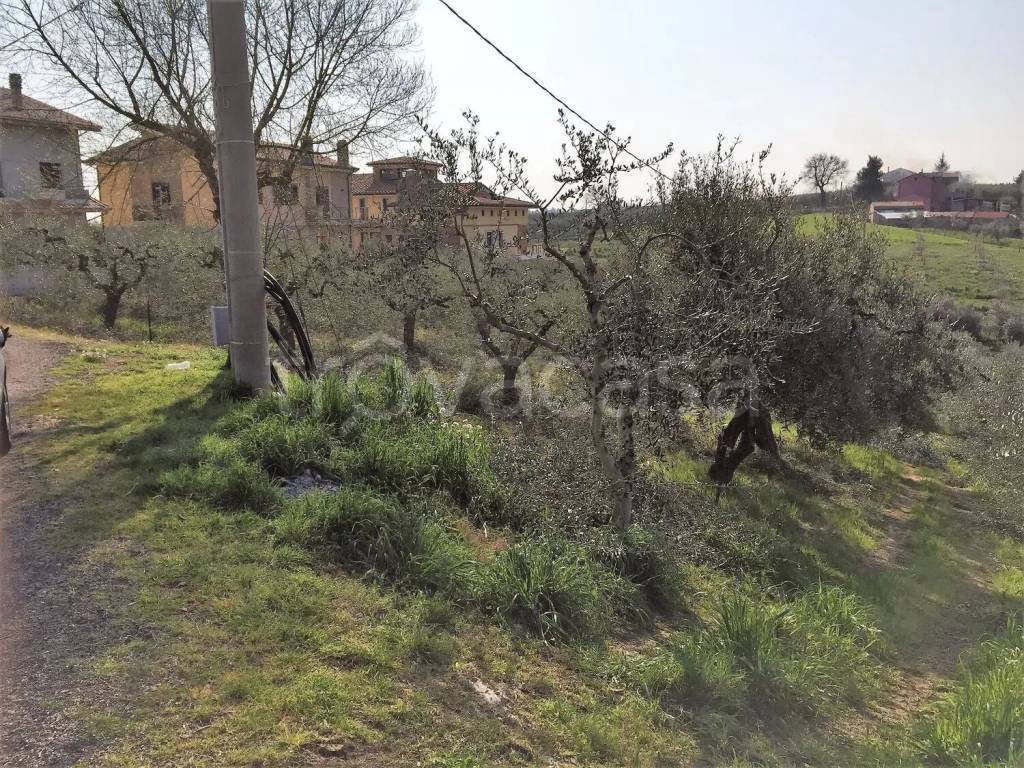 immagine annuncio 1 di 2