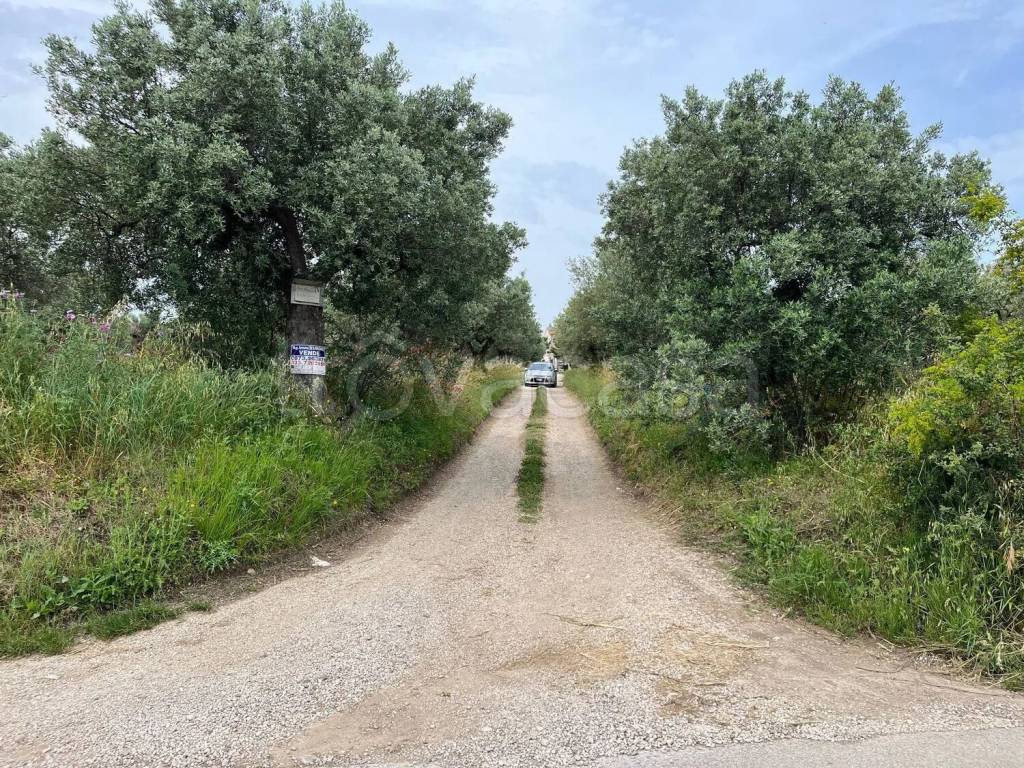 immagine annuncio 1 di 9