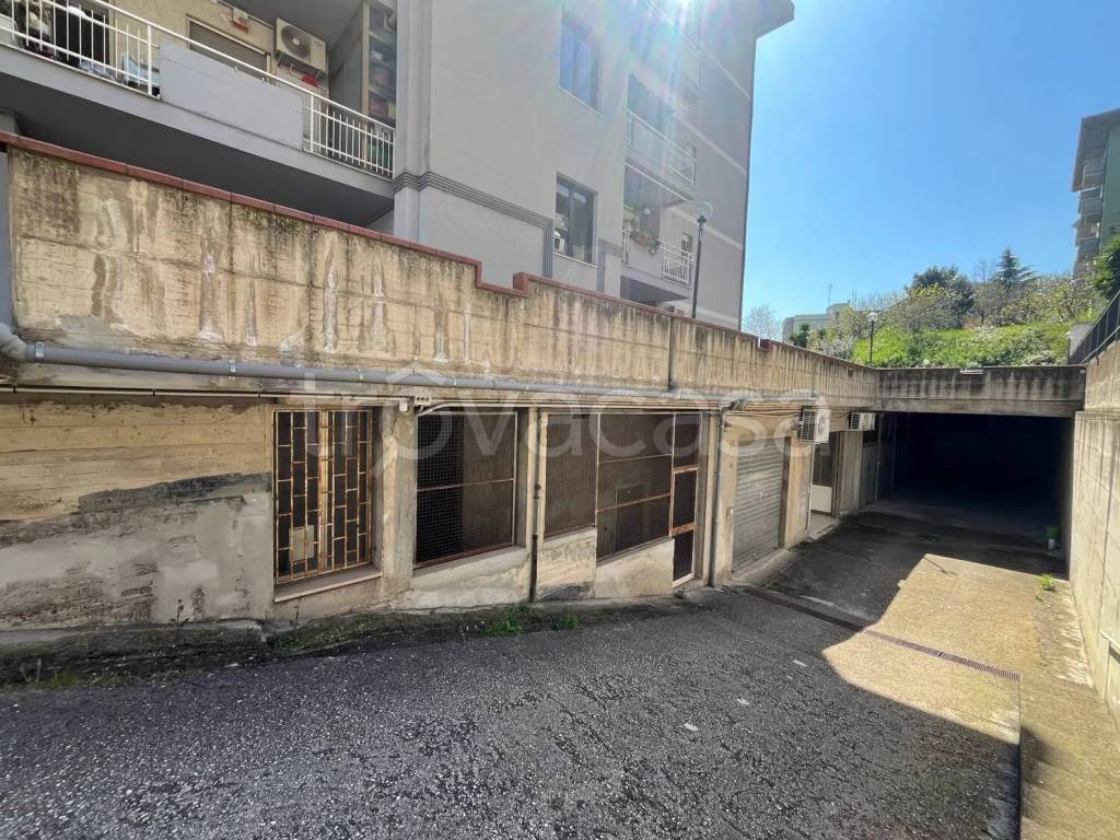 immagine annuncio 7 di 10