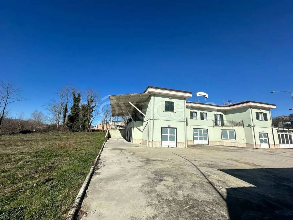 immagine annuncio 4 di 9