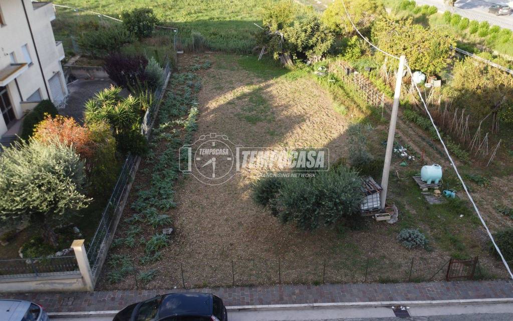 immagine annuncio 10 di 12