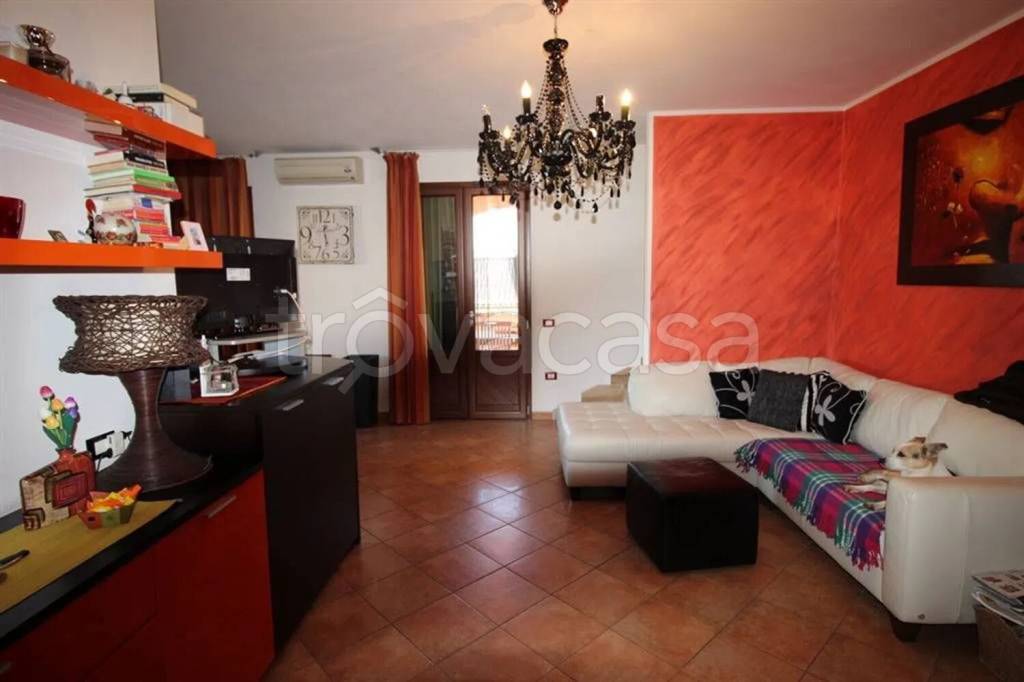 immagine annuncio 11 di 15