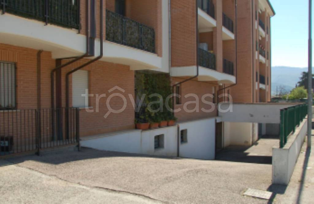immagine annuncio 2 di 12