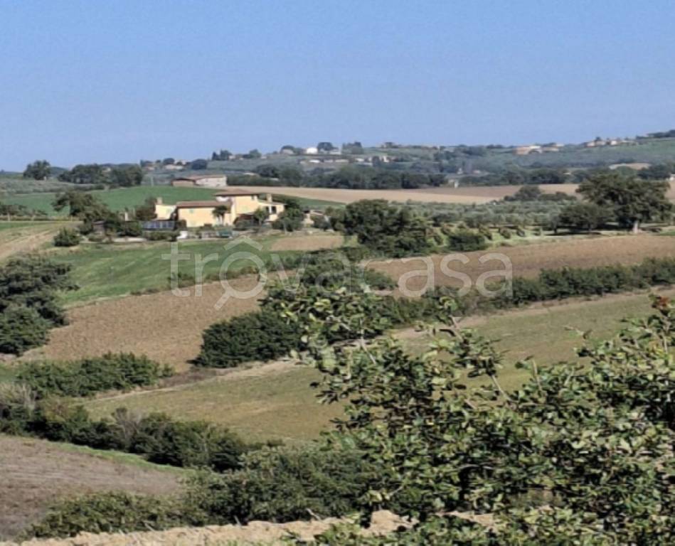 immagine annuncio 4 di 13