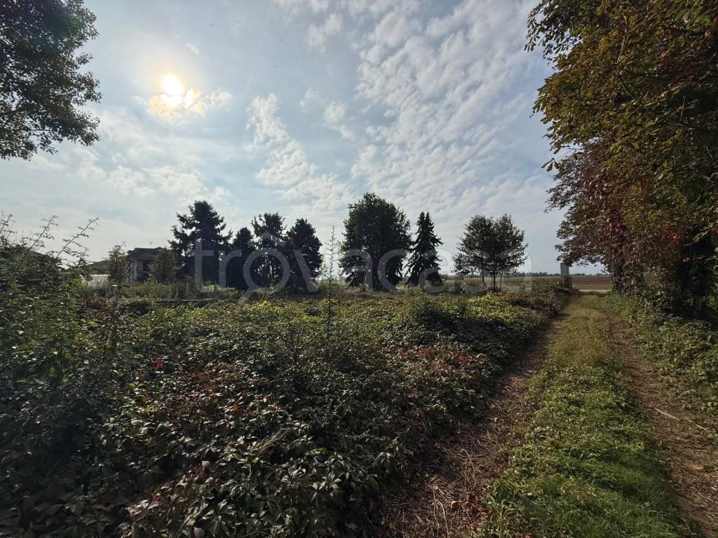 immagine annuncio 9 di 12