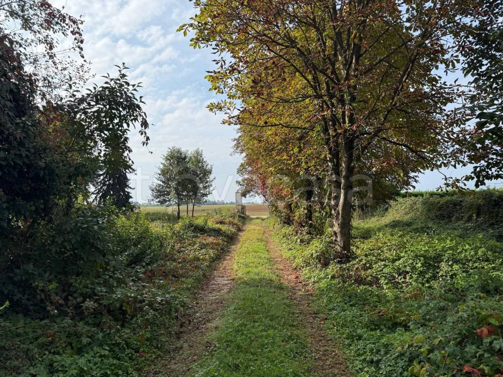 immagine annuncio 8 di 12