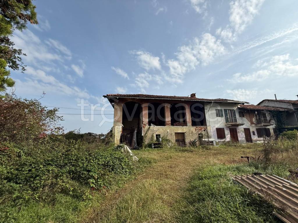 immagine annuncio 5 di 12