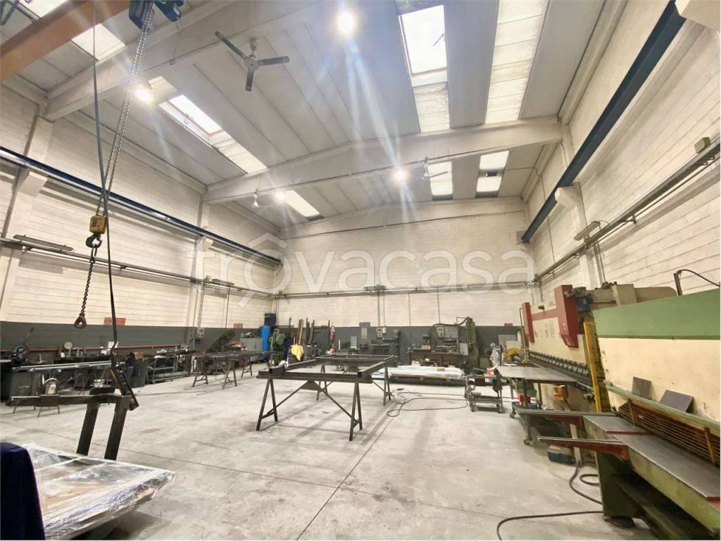 immagine annuncio 3 di 15