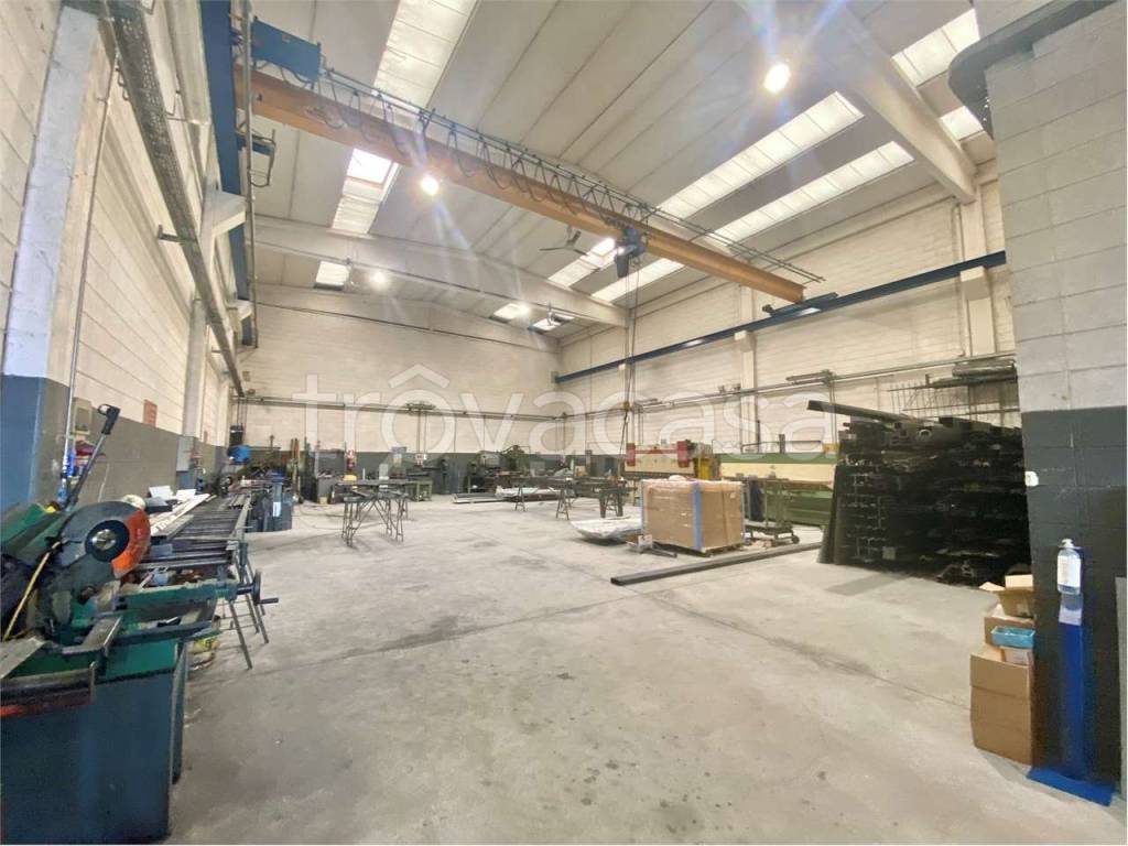 immagine annuncio 6 di 15