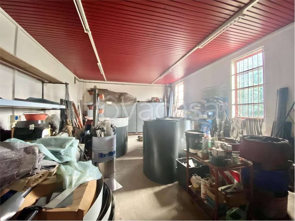 immagine annuncio 12 di 15