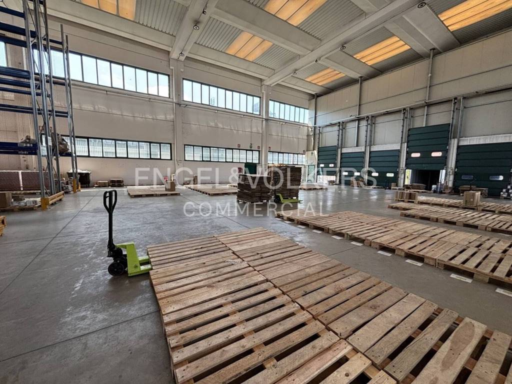 immagine annuncio 5 di 10