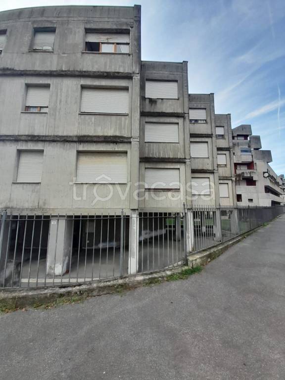 immagine annuncio 12 di 13