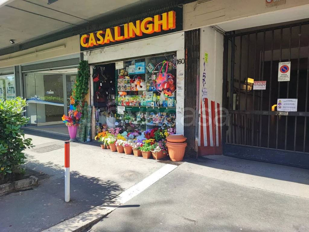 immagine annuncio 1 di 3