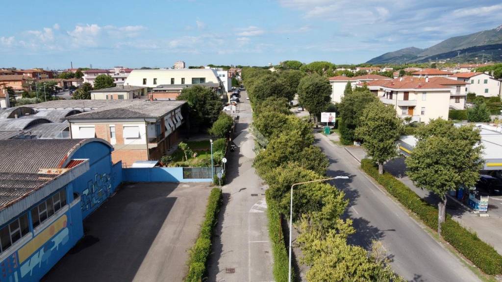 immagine annuncio 10 di 14