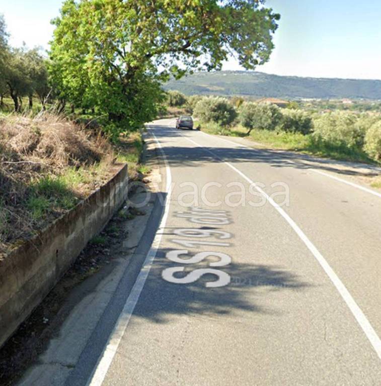 immagine annuncio 10 di 12