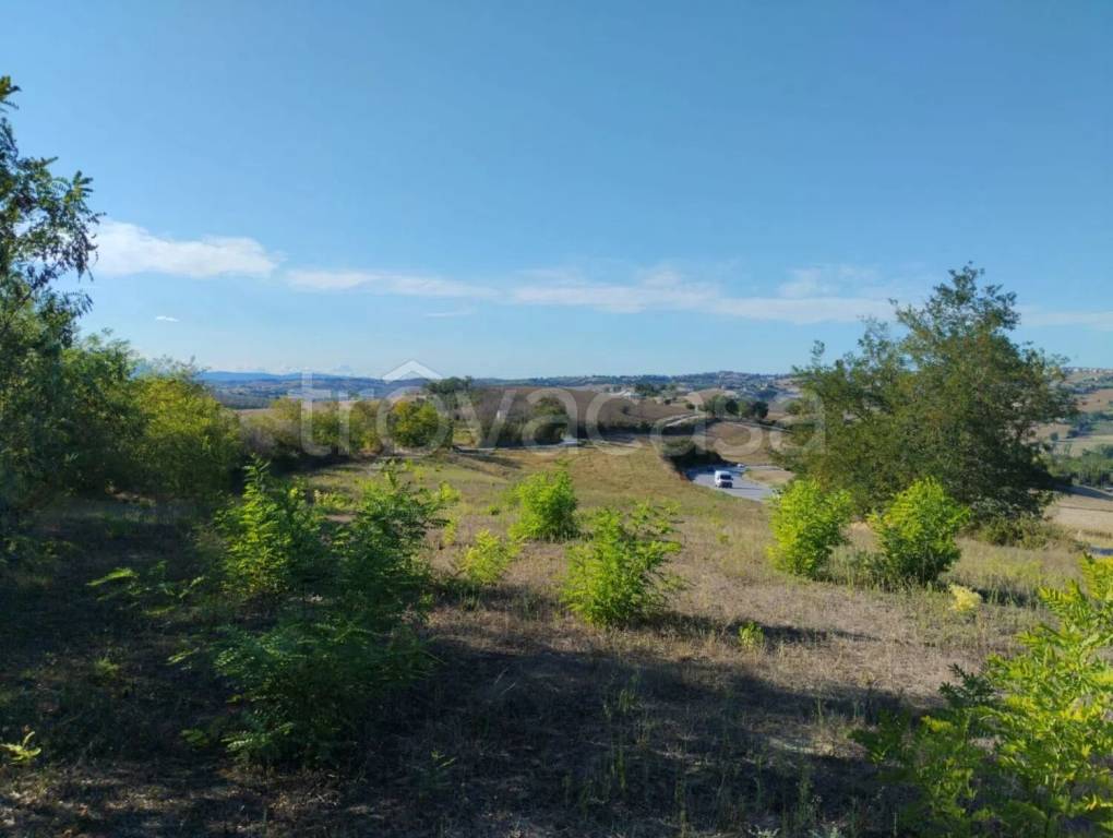 immagine annuncio 4 di 13