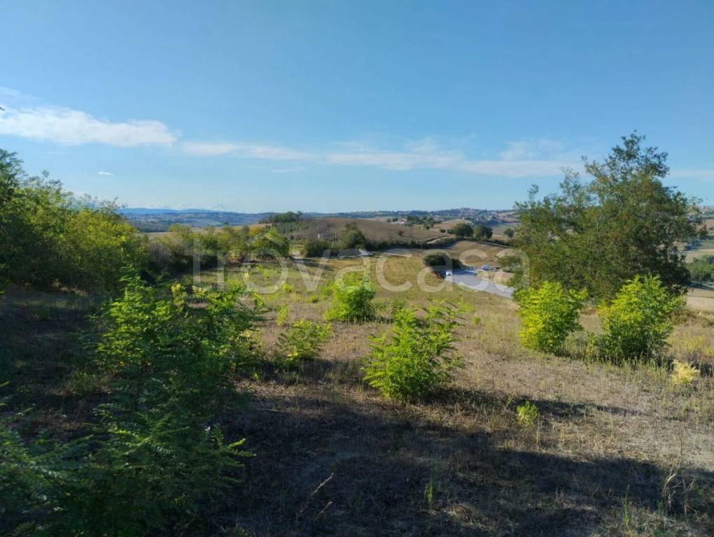 immagine annuncio 5 di 13