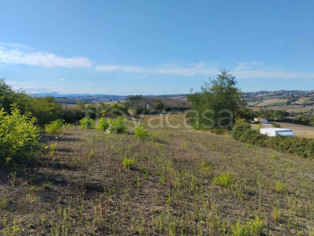 immagine annuncio 6 di 13