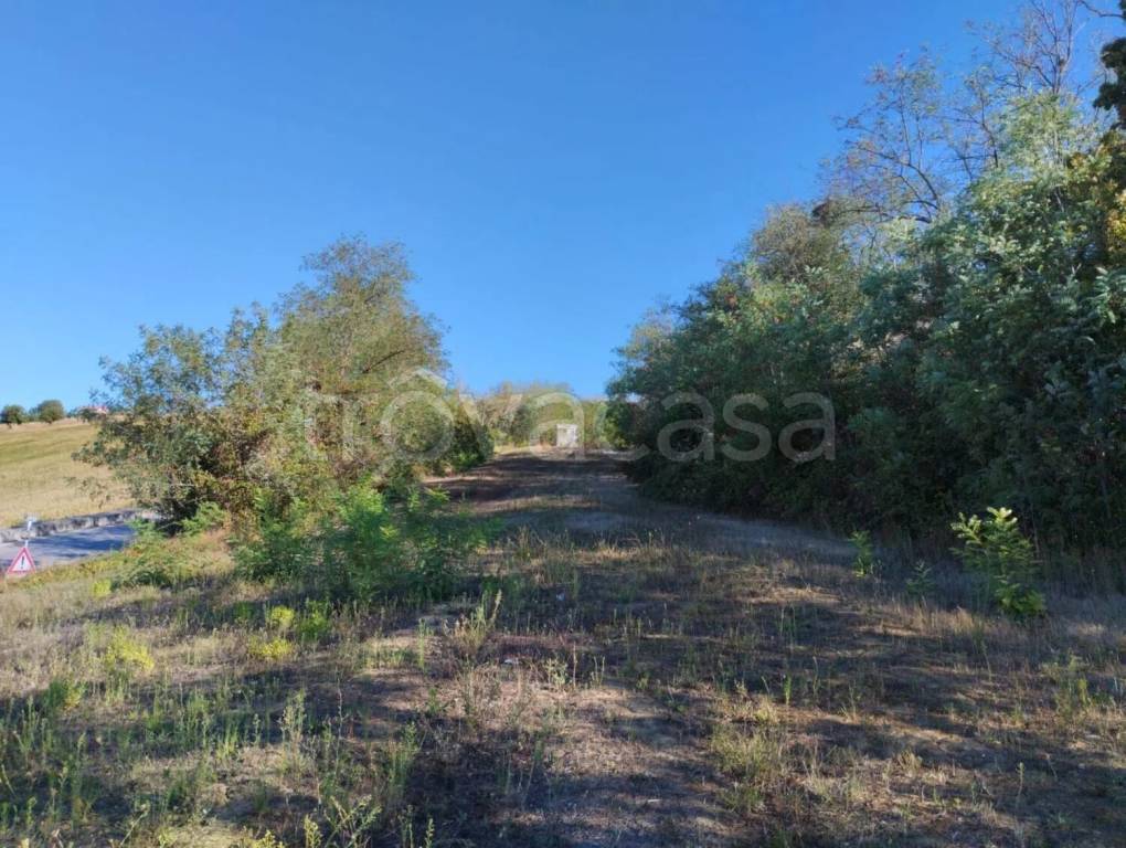 immagine annuncio 7 di 13