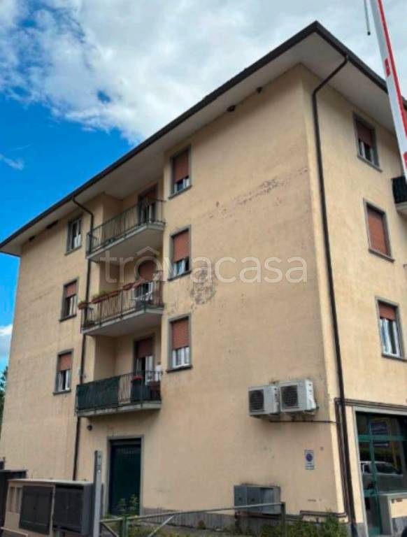 immagine annuncio 4 di 14