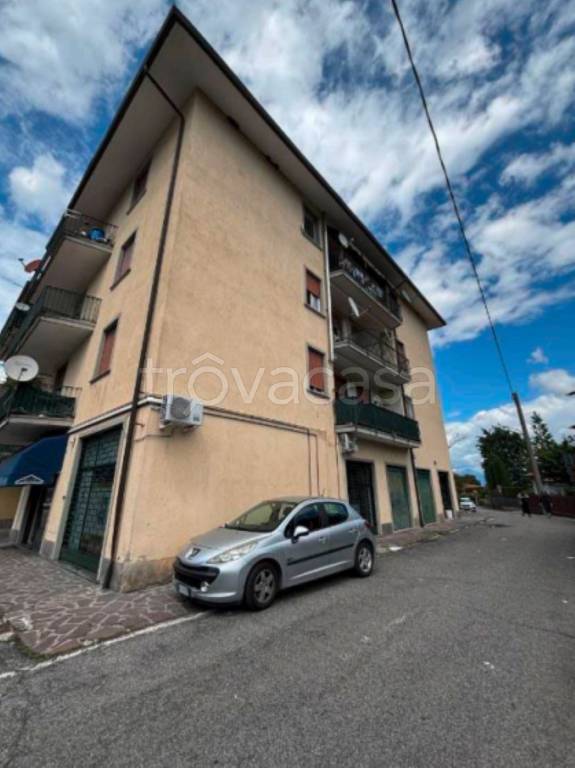 immagine annuncio 5 di 14