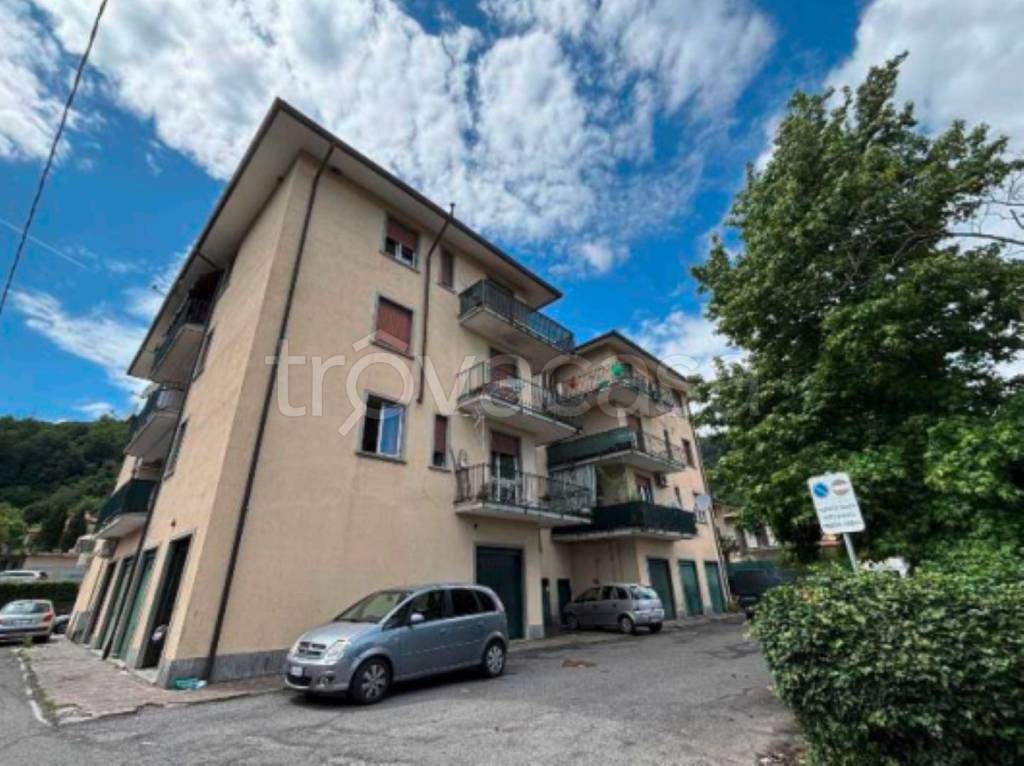 immagine annuncio 6 di 14