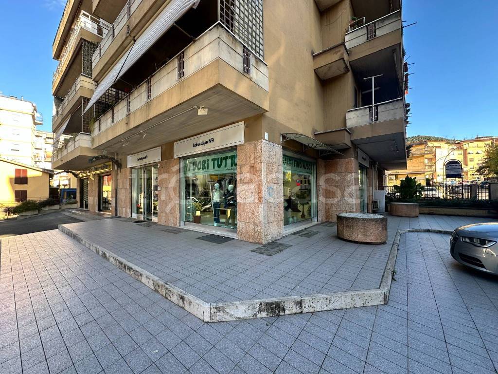 immagine annuncio 1 di 14