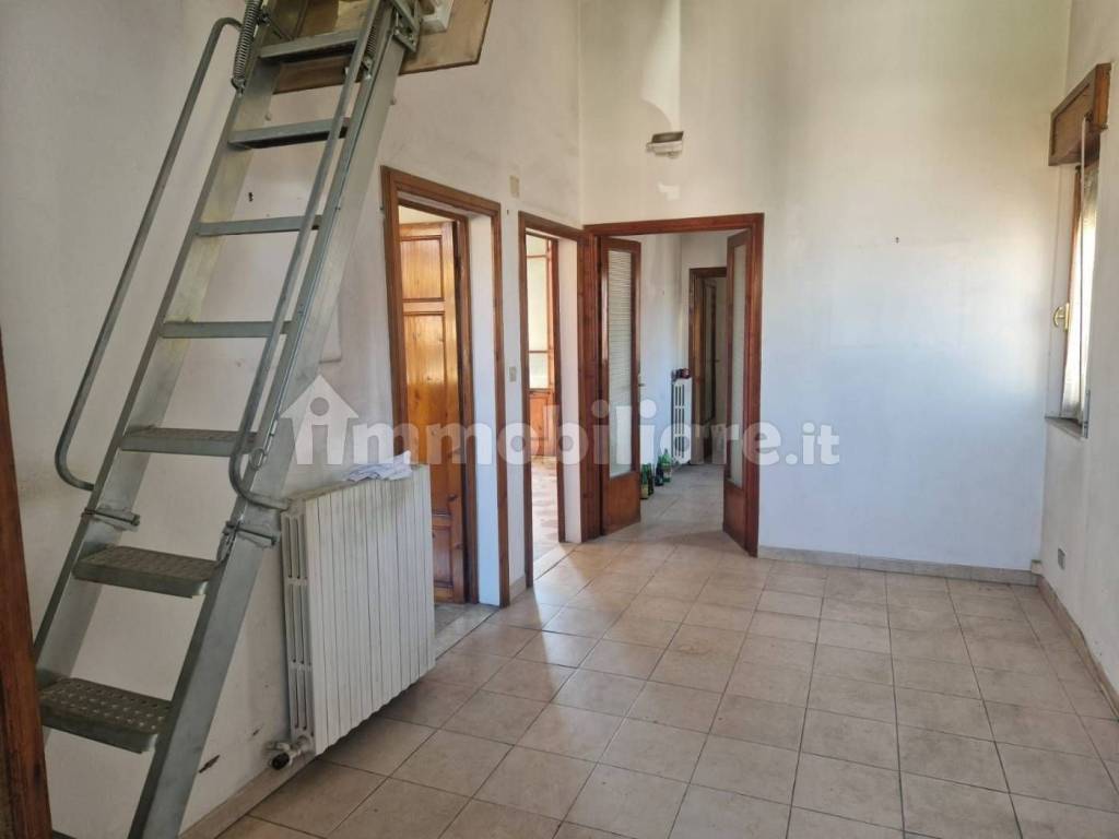 immagine annuncio 1 di 6