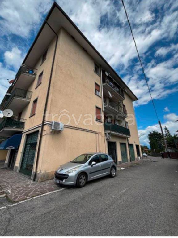 immagine annuncio 7 di 11