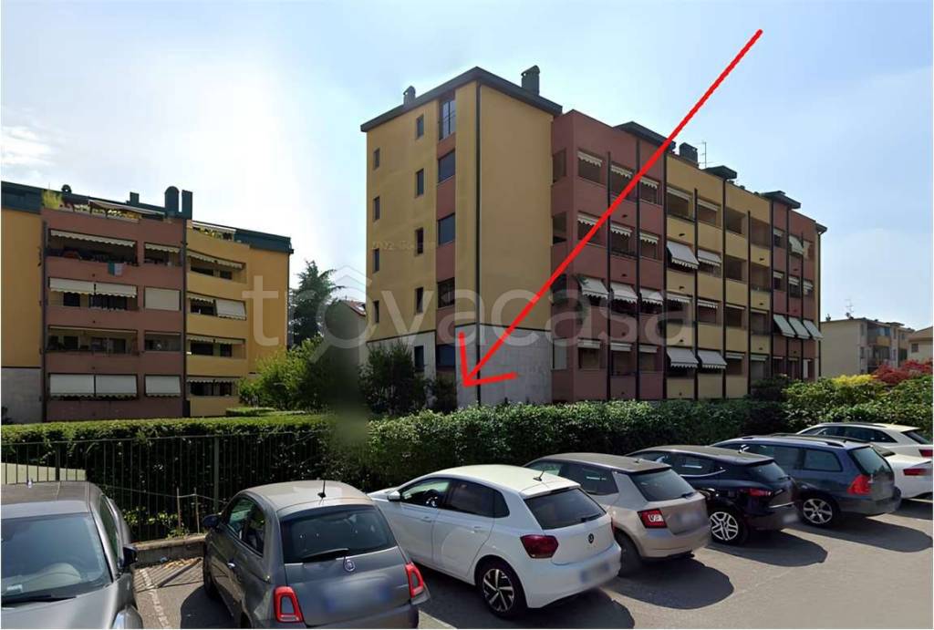 immagine annuncio 1 di 14