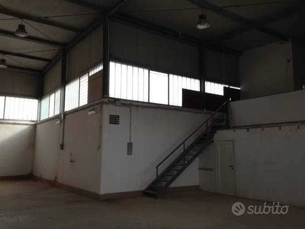 immagine annuncio 3 di 13