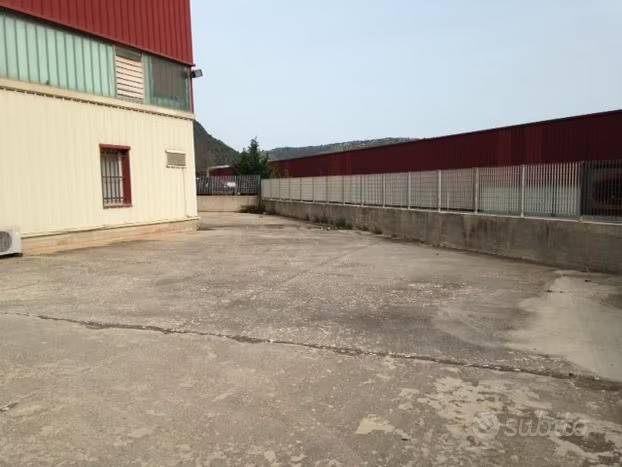 immagine annuncio 9 di 13