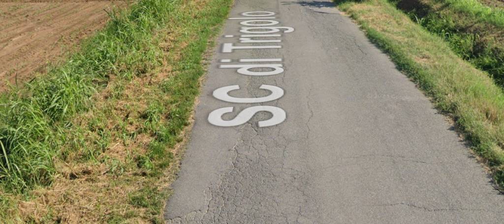 immagine annuncio 6 di 11