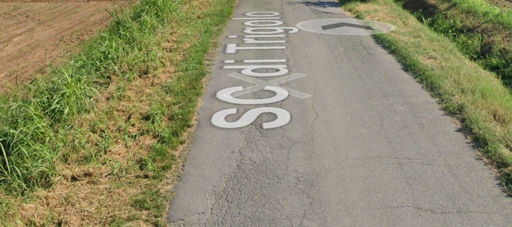 immagine annuncio 7 di 11