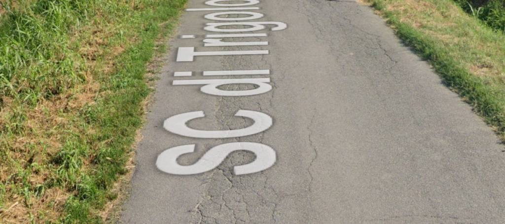 immagine annuncio 8 di 11