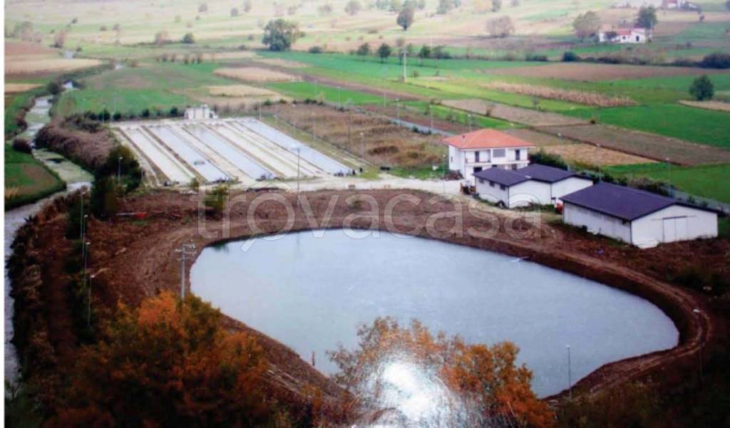 immagine annuncio 2 di 14