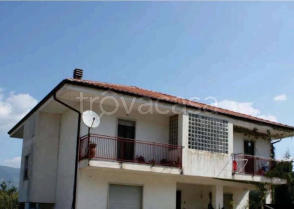 immagine annuncio 3 di 14