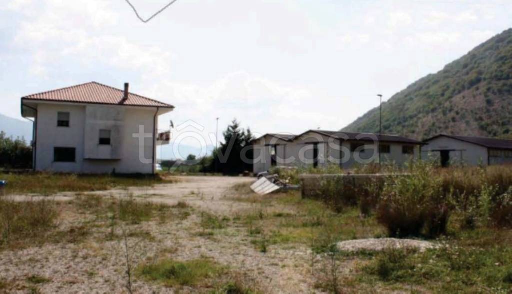 immagine annuncio 4 di 14