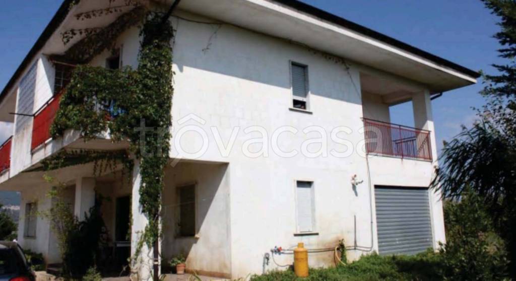 immagine annuncio 5 di 14