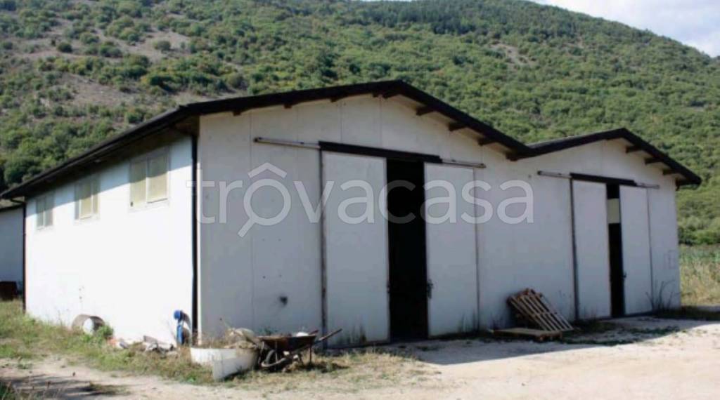 immagine annuncio 8 di 14