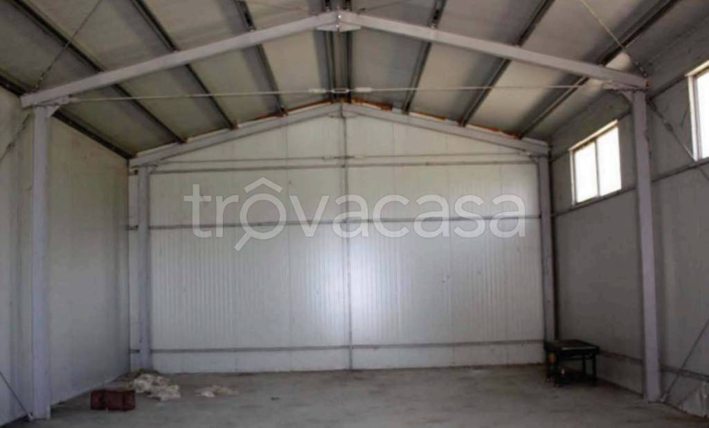 immagine annuncio 9 di 14