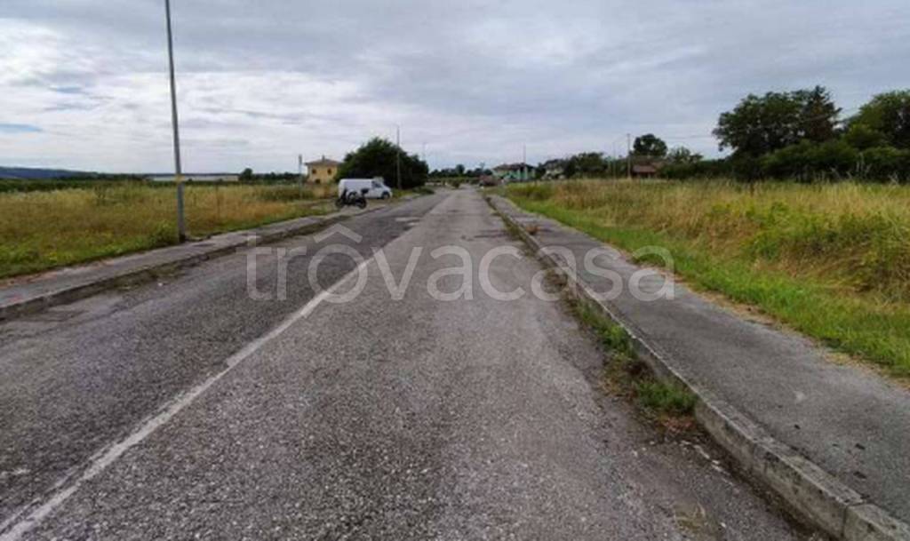 immagine annuncio 6 di 11